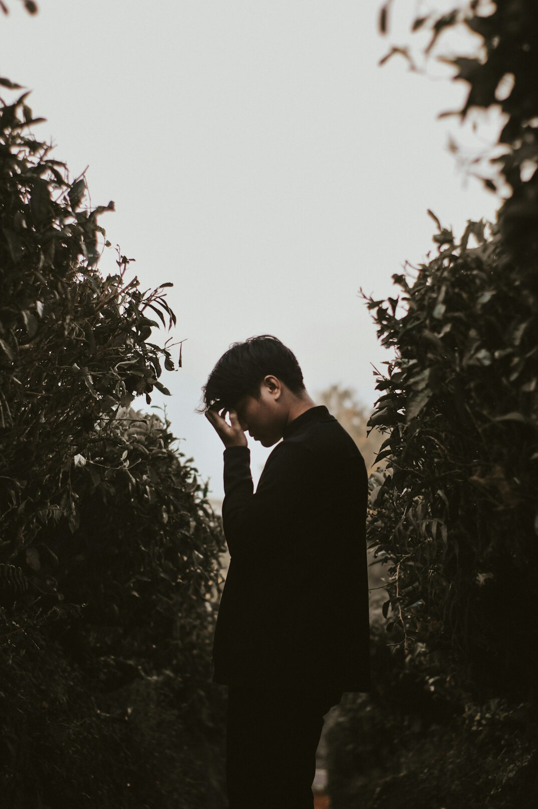 Portrait of a man in a dark suit